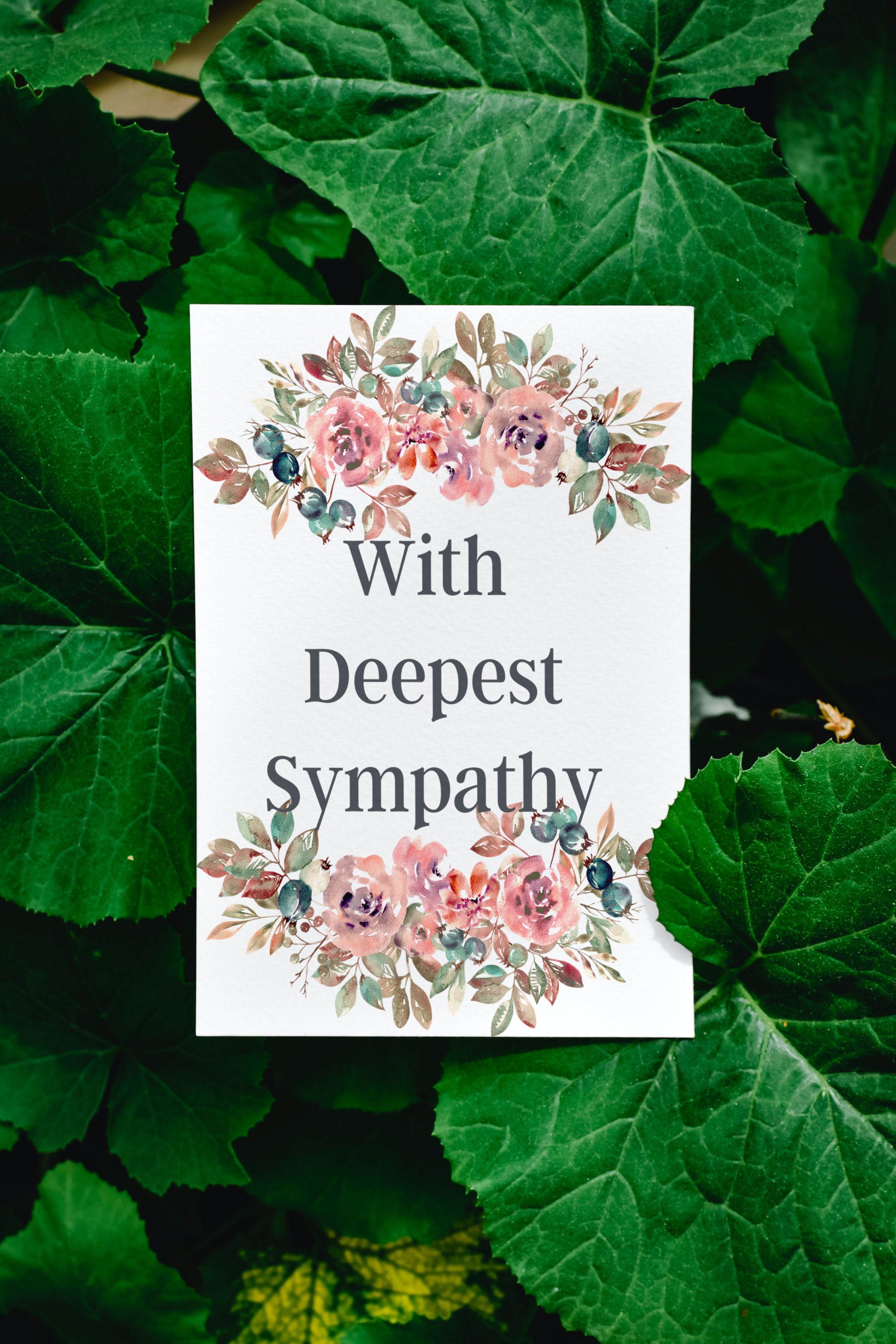 Floral card saying, With deepest sympathy sitting on plant with leaves.